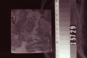 Image representing Pole, argillite.