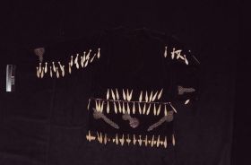 Image representing Shirt.