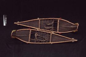 Image representing Snowshoe.