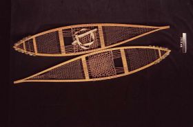 Image representing Snowshoe.