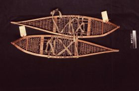 Image representing Snowshoe.