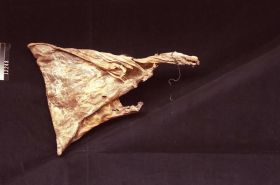 Image representing Rawhide.