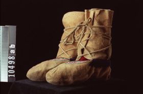 Image representing Moccasin.