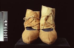 Image representing Moccasin.