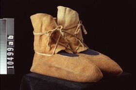 Image representing Moccasin.