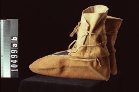 Image representing Moccasin.