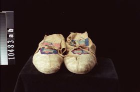 Image representing Moccasin.