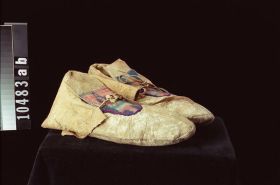 Image representing Moccasin.