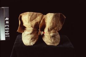 Image representing Moccasin.