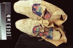 Image representing Moccasin.