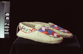 Image representing Moccasin.