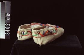 Image representing Moccasin.