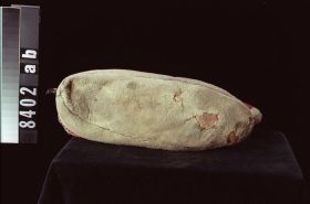 Image representing Moccasin.