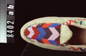 Image representing Moccasin.
