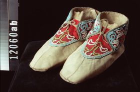 Image representing Moccasin.