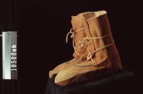 Image representing Moccasin.