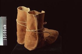 Image representing Moccasin.
