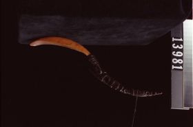 Image representing Spoon.