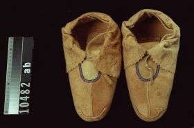 Image representing Moccasin.