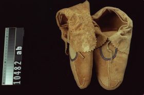 Image representing Moccasin.
