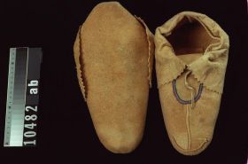 Image representing Moccasin.