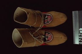 Image representing Moccasin.