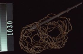 Image representing Harpoon.