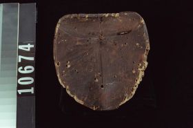 Image representing Mask.