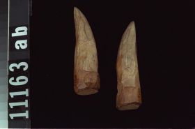 Image representing Object.