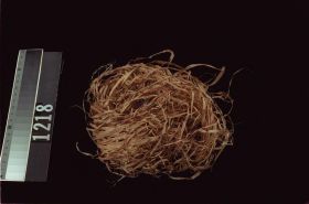 Image representing Prepared Material.