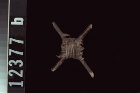 Image representing Prepared Material.