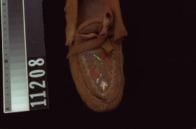 Image representing Moccasin.
