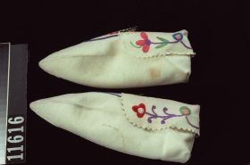 Image representing Moccasin.