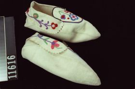 Image representing Moccasin.
