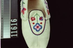 Image representing Moccasin.
