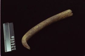 Image representing Flesher.