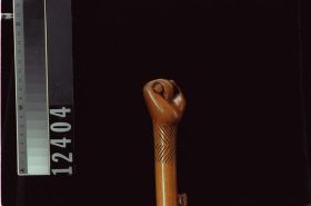 Image representing Cane.