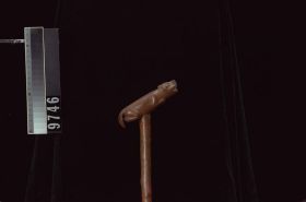 Image representing Cane.