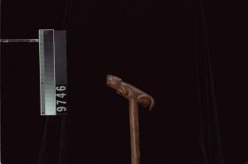 Image representing Cane.