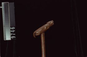 Image representing Cane.