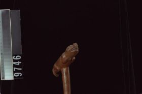 Image representing Cane.