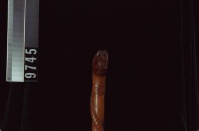 Image representing Cane.