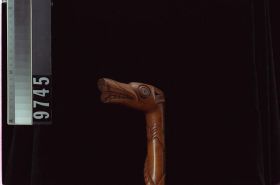 Image representing Cane.
