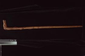 Image representing Cane.