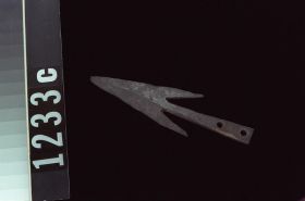 Image representing Harpoon Head.
