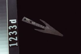 Image representing Harpoon Head.