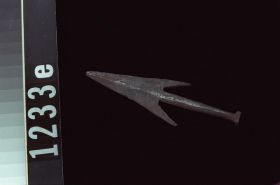 Image representing Harpoon Head.
