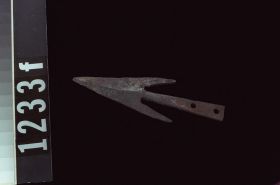 Image representing Harpoon Head.
