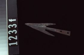 Image representing Harpoon Head.