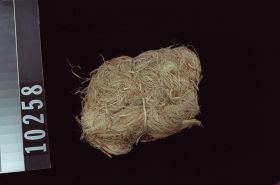 Image representing Prepared Material.